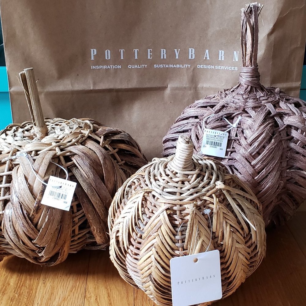 Pottery Barn Fall Thanksgiving Harvest Halloween Woven Rattan Pumpkins